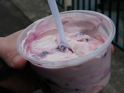 a-blueberry-flavored-dessert-made-from-milk