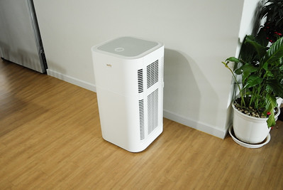 a room with a plant and a white machine to freshen the room