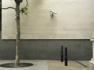 a security device for monitoring the premises