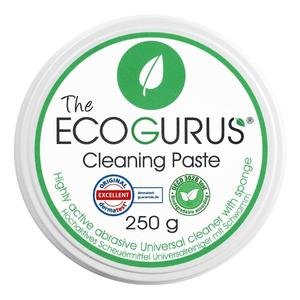 The EcoGurus