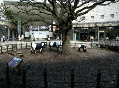 Central Milton Keynes tree